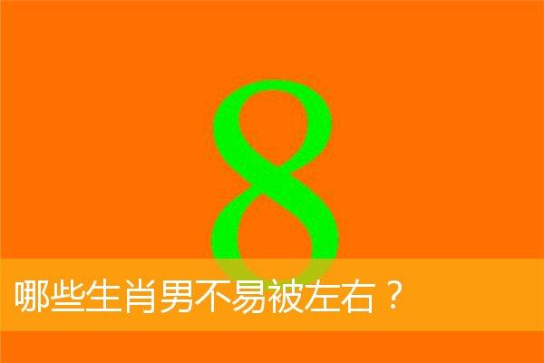 哪个生肖不易被感情所左右?