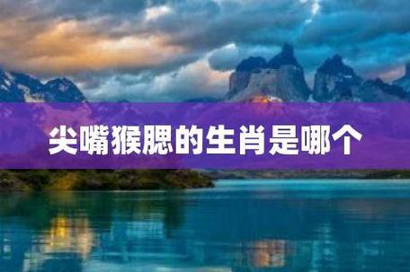关于尖嘴的生肖属相