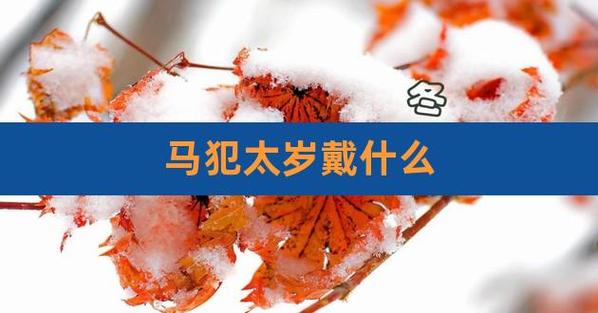 2017年属马的犯太岁吗
