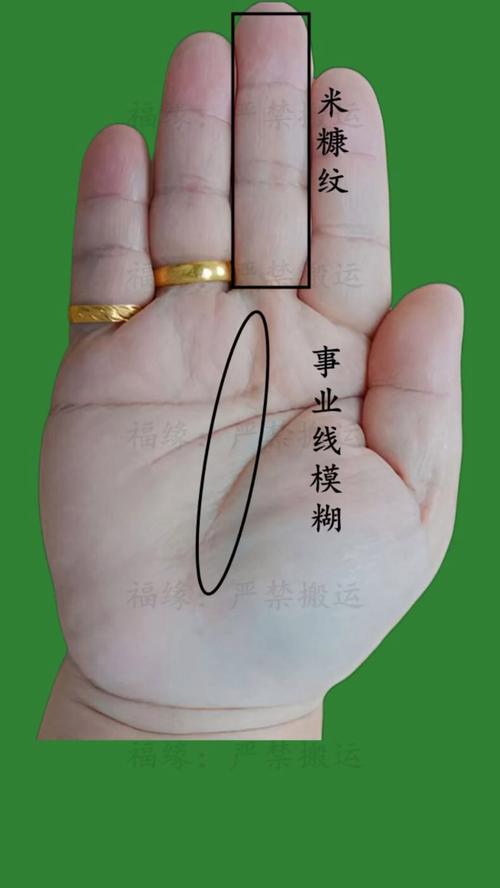 能够大富大贵的手相特征,富态的手相