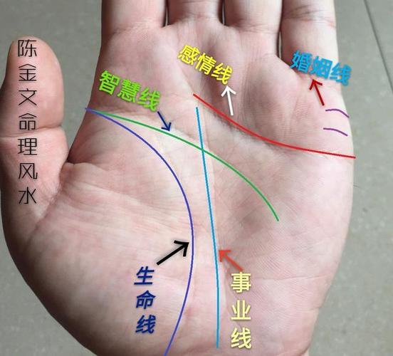 手相看一个人的品德