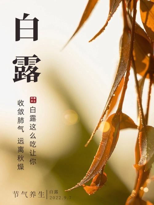 白露节气吃什么养生