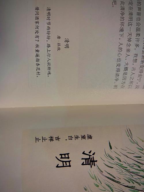 清明节出生的女孩很特别