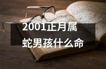 属蛇2001最好命男孩子