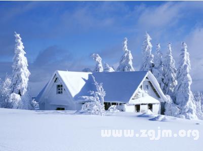 梦见下很大很大的雪