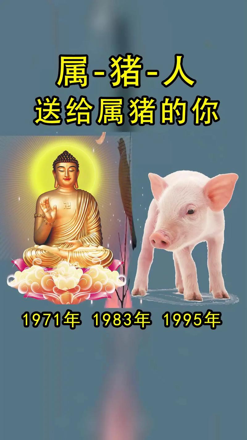 猪(男)配对十二生肖:猪+兔
