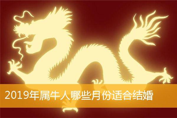 2019年属牛人结婚好不好,几月适合结婚