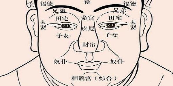 四种面相,四种命运