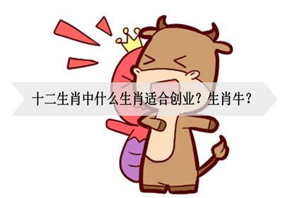 哪个生肖适合创业