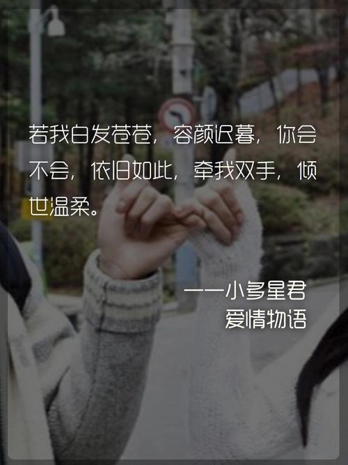 男射手座一区和女狮子处女座配对