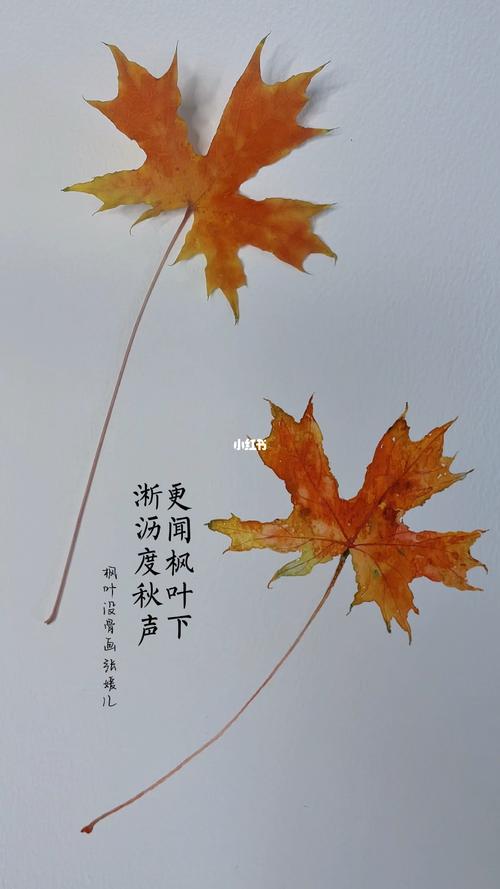 梦见枫叶怎么回事