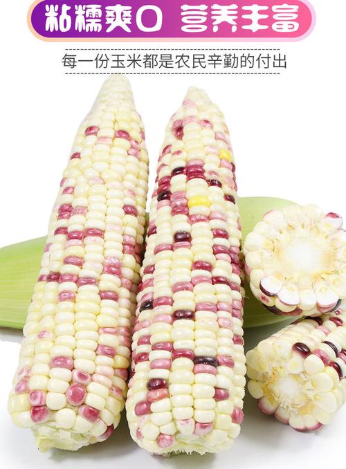已婚女人梦到玉米棒子