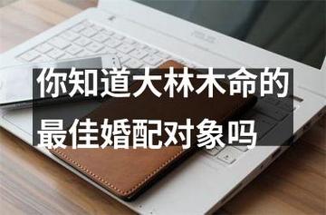 男女都是大林木命在一起合适吗