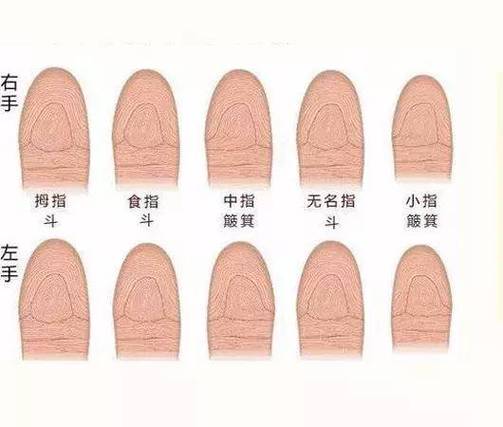 9个斗的女人什么命