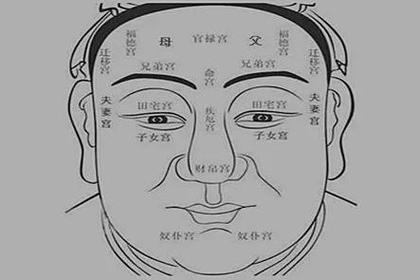 什么面相的人生出来的孩子孝顺