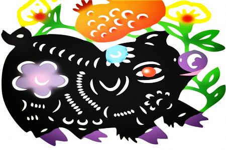 颜值控的生肖大全