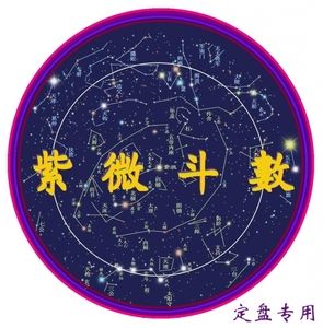 杰克逊紫微斗数星盘七杀仰斗+贪狼化禄娱乐财