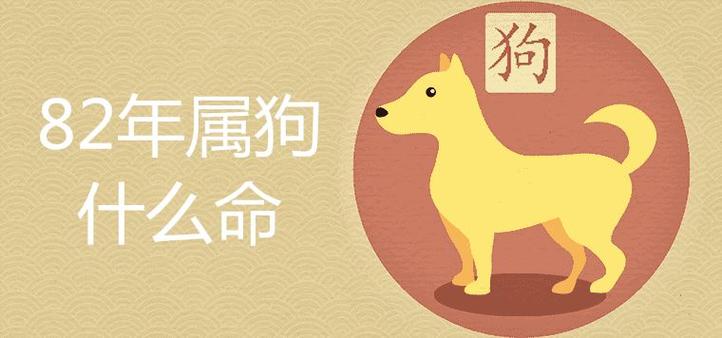 82属狗为什么老是不顺