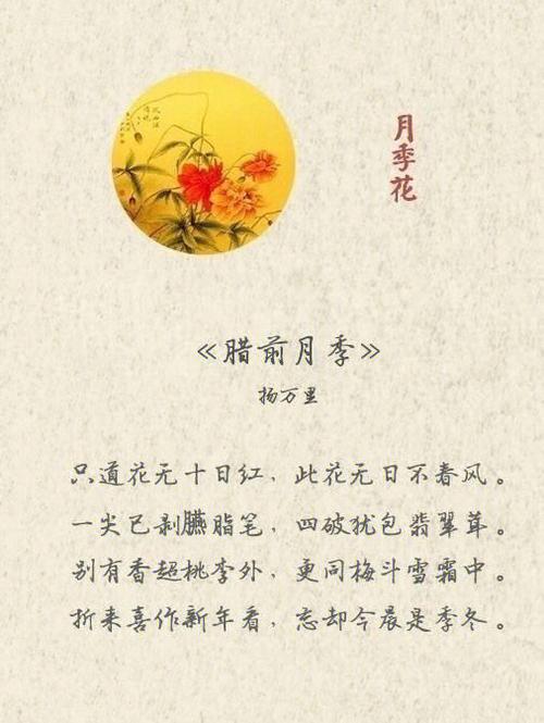 描写中国十大名花的诗句