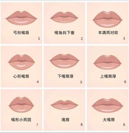 二十种嘴型大全图解