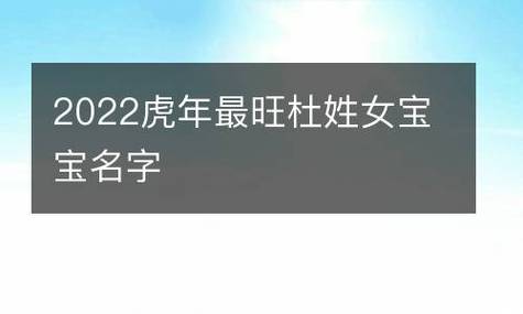 虎年杜姓女孩大气响亮的名字