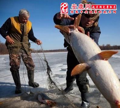 梦见自己用手捉到大鱼