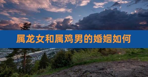 女属龙男属鸡婚姻状况如何?属鸡男恋爱后会有何改变?