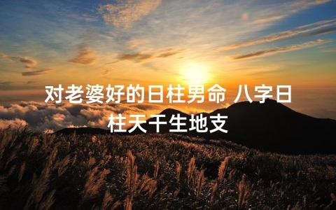对老婆好的日柱男命