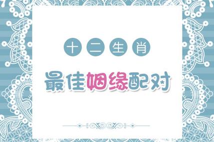 十二生肖女适合的伴侣