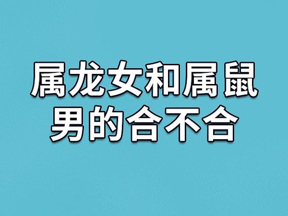 属鼠与属龙合得来吗