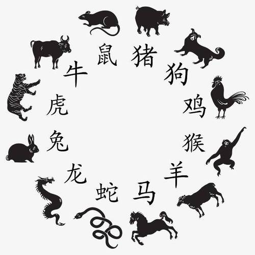 一生财运最好的三大生肖