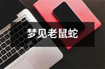 梦见蛇老鼠 周公解梦之梦到蛇老鼠