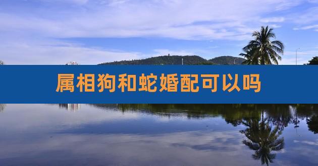 2001年属蛇和1994年狗婚配