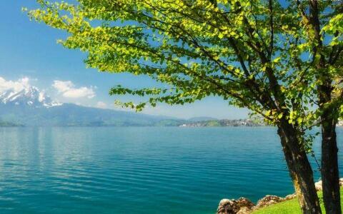 2018属牛适合去哪里旅游