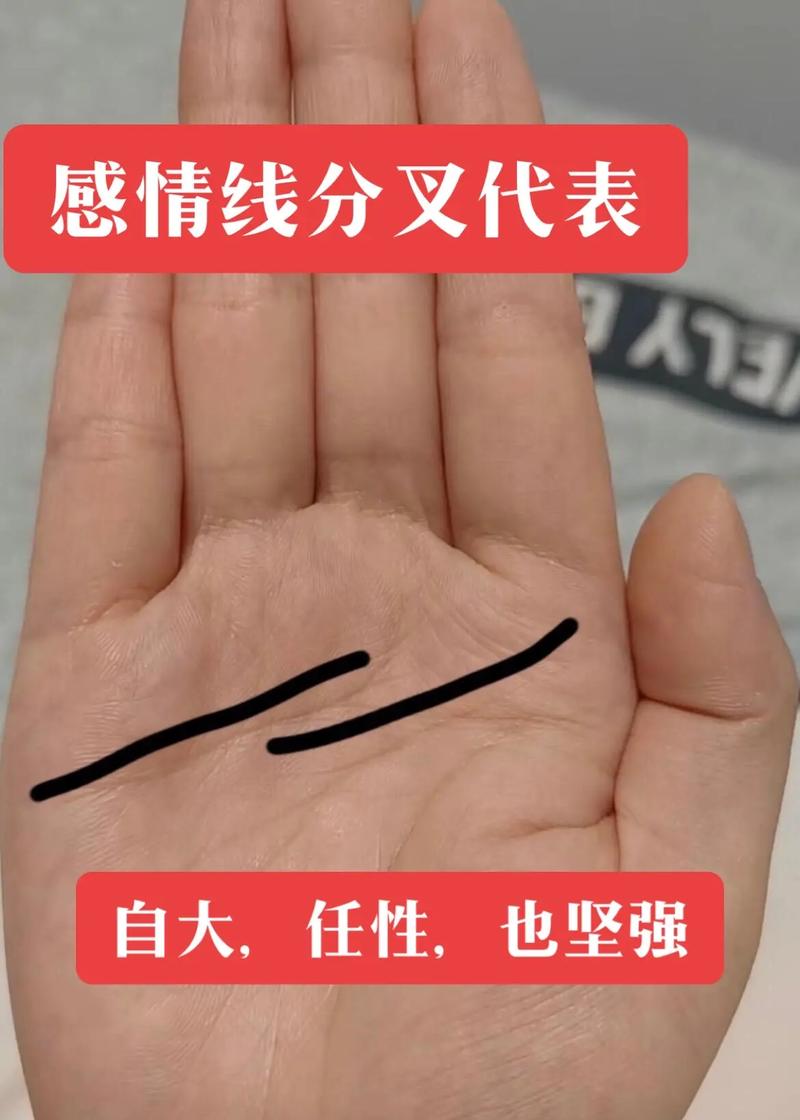 看手相感情线分叉