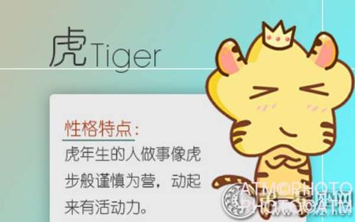 属虎男生对未来媳妇有哪些要求