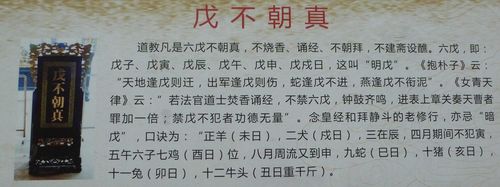 子不问卜问了怎么办