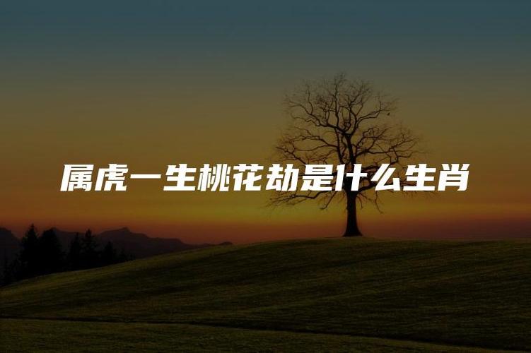 属虎的2021年下半年犯桃花吗