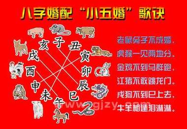 属马选择伴侣的标准