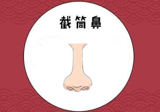 什么是截筒鼻