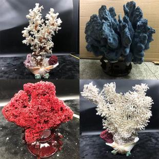 珊瑚礁办公室摆放风水