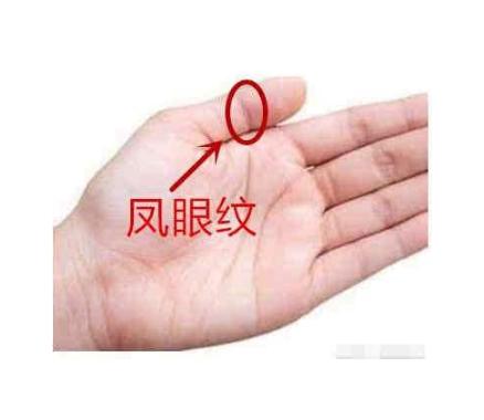 凤眼纹不封闭穷一辈子