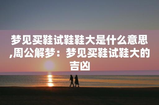 梦见试鞋周公解梦,梦见试鞋是什么意思?