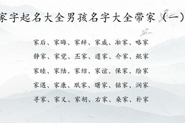 家字取名男孩有寓意