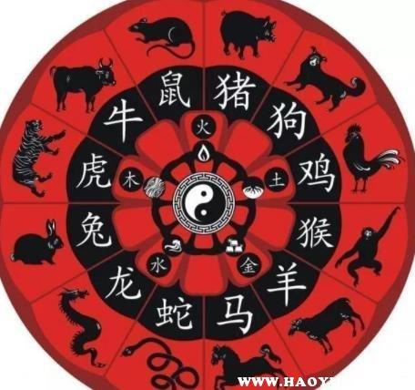 属鸡和什么生肖相冲