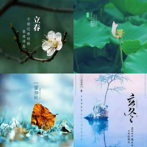 数九寒天是从立冬开始立春结束吗