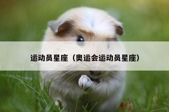 最适合当运动员的星座
