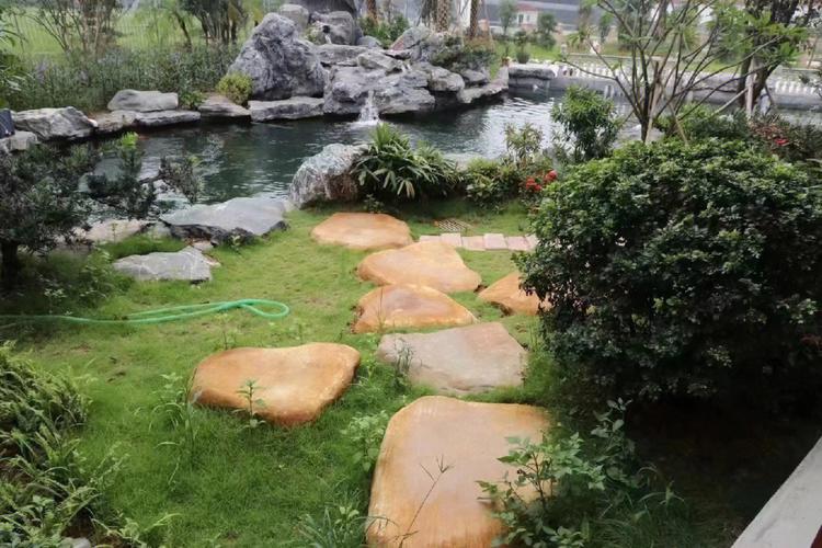 梦见旱井
