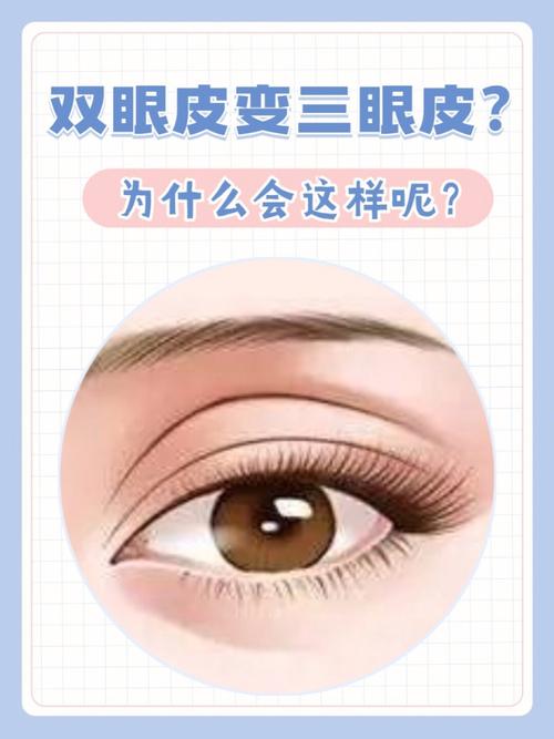 三眼皮有什么寓意