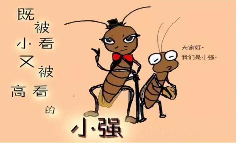 梦到好多蟑螂怎么都打不死预示着什么